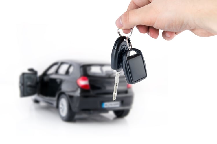 Authorized Dealers Vs Parallel Importers