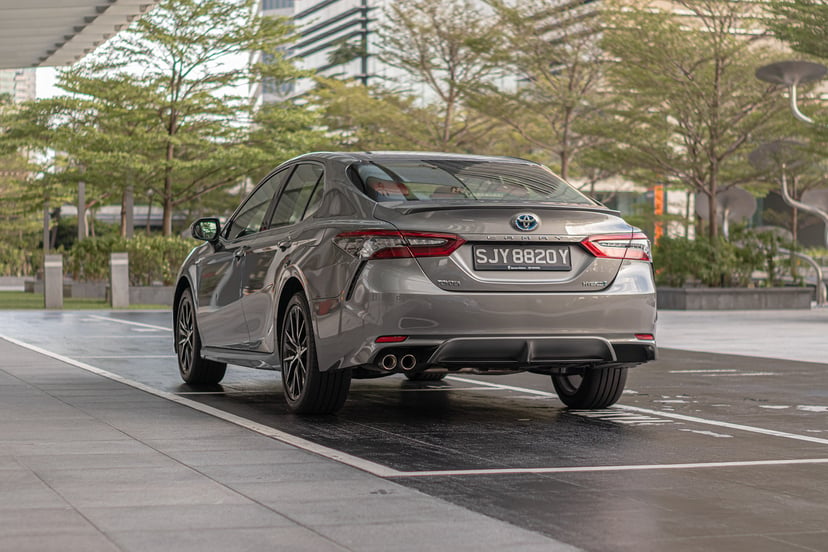 Camry Rear Maple Tree