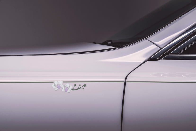 2 Phantom Orchid Coachline