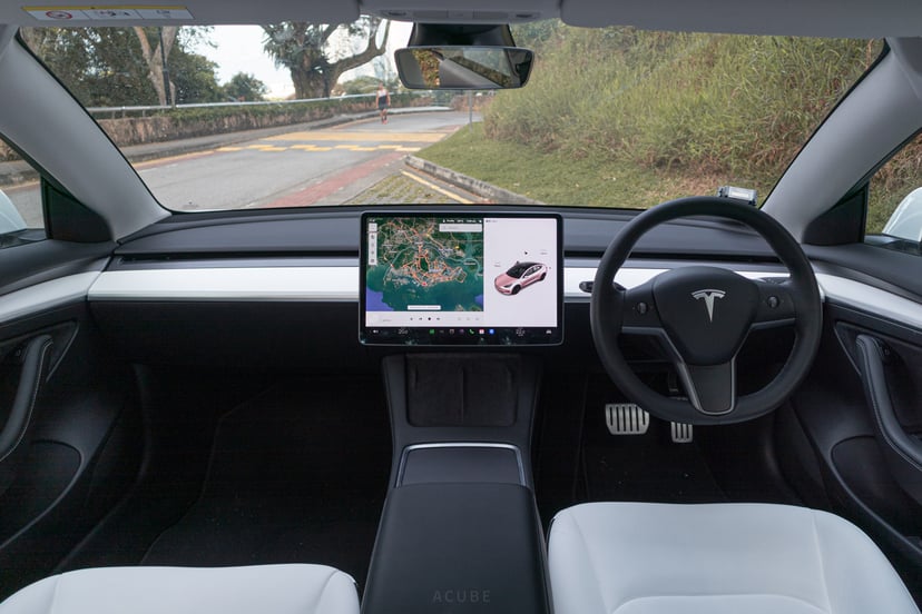 mReview: 2022 Tesla Model 3 Performance - Lightning In A Bottle, photo 6