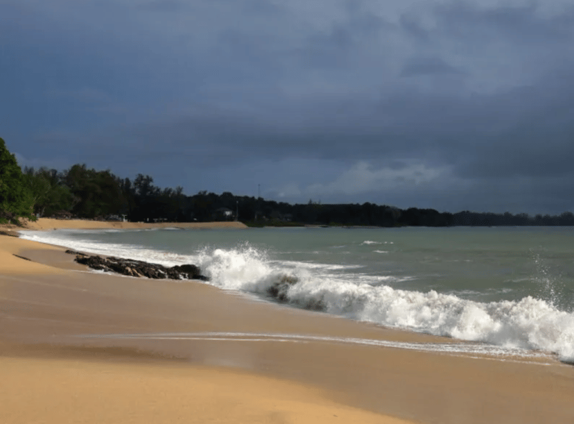 JB mGuide | 7 Breath-Taking Nature Attractions In Johor Bahru, photo 4