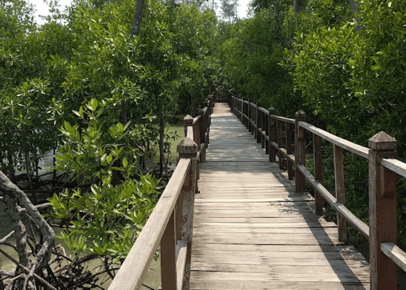 JB mGuide | 7 Breath-Taking Nature Attractions In Johor Bahru, photo 7
