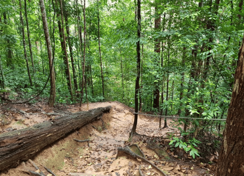 JB mGuide | 7 Breath-Taking Nature Attractions In Johor Bahru, photo 3