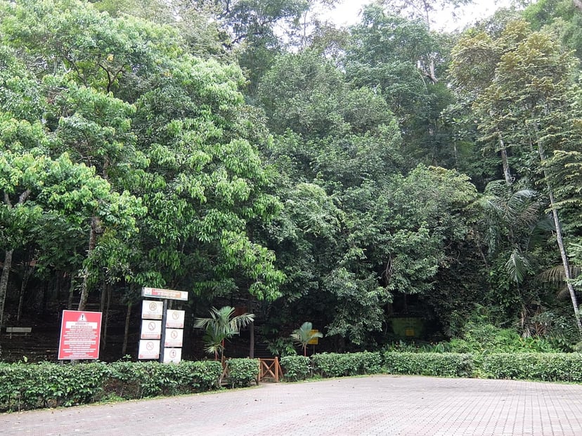JB mGuide | 7 Breath-Taking Nature Attractions In Johor Bahru, photo 8