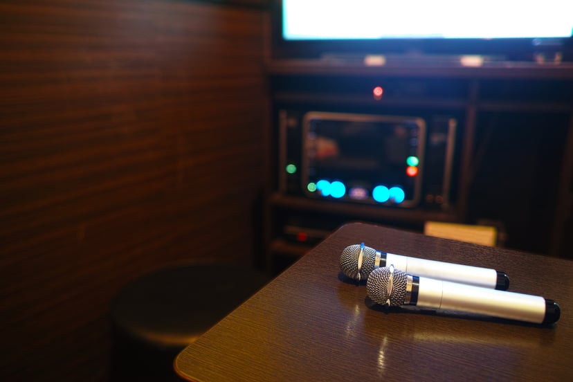 Karaoke Mic