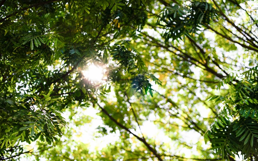 Five Air-conditioned Places to Experience Nature Indoors! - mGuides, photo 1