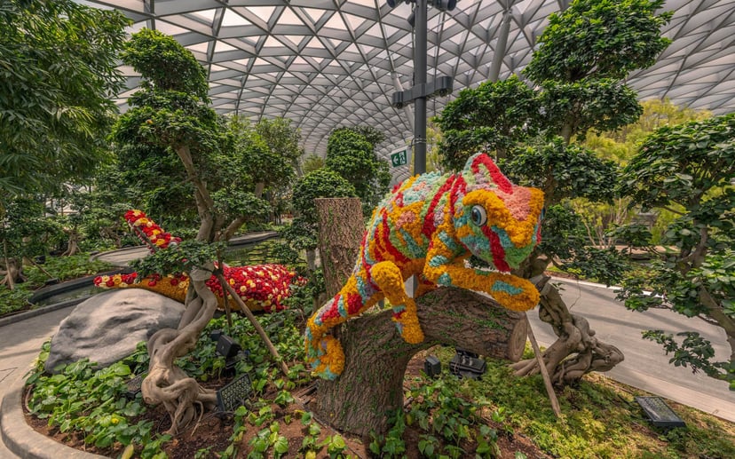 Canopy Park