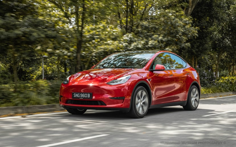 mReview: Tesla Model Y RWD - The New American Dream, photo 1