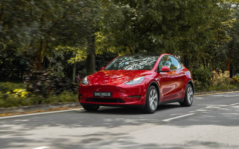 mReview: Tesla Model Y RWD - The New American Dream, photo 15