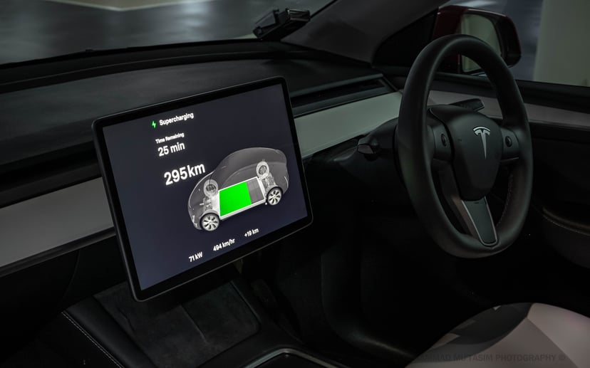mReview: Tesla Model Y RWD - The New American Dream, photo 18