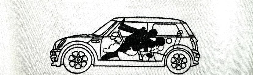 Sex in the car - “carma sutra” and the caravans of love, photo 4