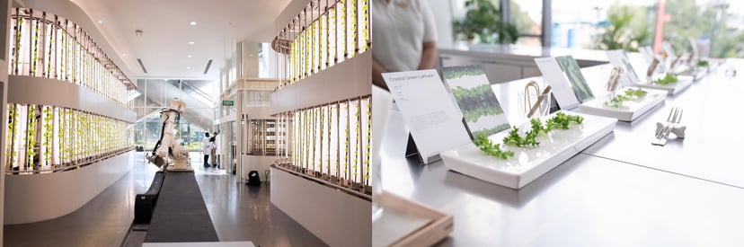 Editors%2 Fimages%2 F1715765035711 Jurong%E2%80%99s+First+And+Only+Restaurant+By+A+Michelin Star+Chef+ +Pic2