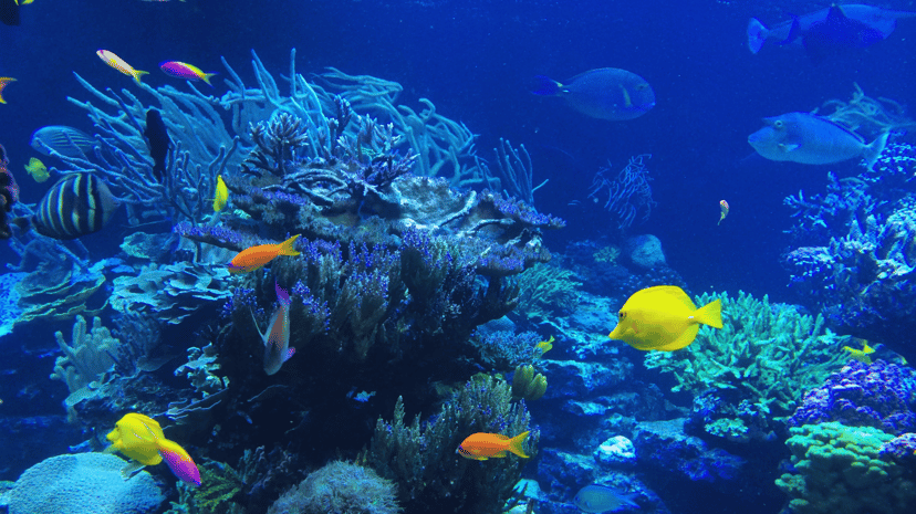 Exploring Malaysia: 30 fun-filled activities for unforgettable school holiday adventures in Kuala Lumpur , photo 8
