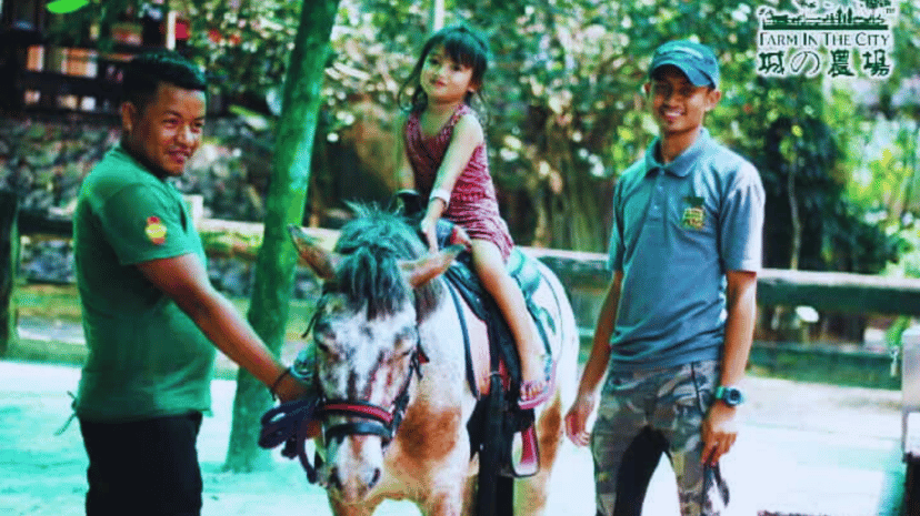 Exploring Malaysia: 30 fun-filled activities for unforgettable school holiday adventures in Kuala Lumpur , photo 16