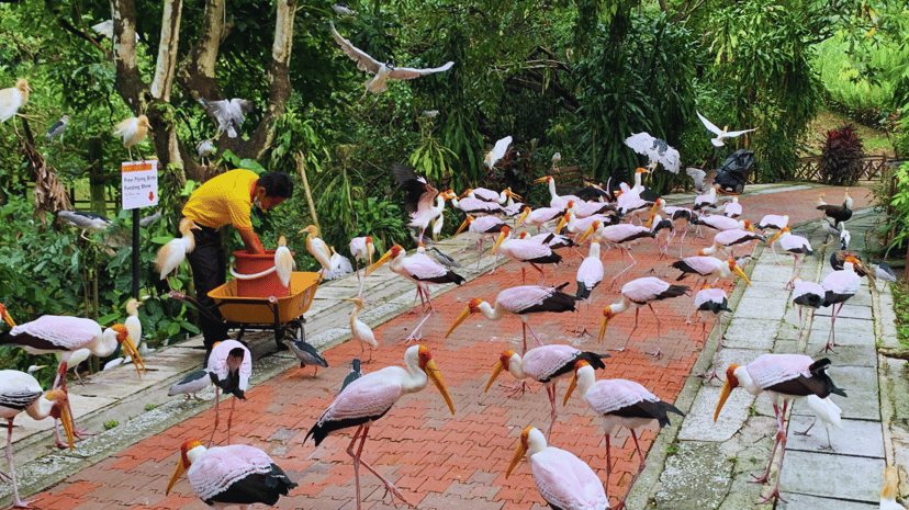 Exploring Malaysia: 30 fun-filled activities for unforgettable school holiday adventures in Kuala Lumpur , photo 20