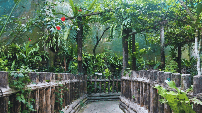 Exploring Malaysia: 30 fun-filled activities for unforgettable school holiday adventures in Kuala Lumpur , photo 21