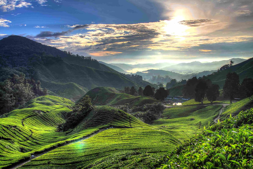 Exploring Malaysia Road Trip Adventures Through Scenic Wonders