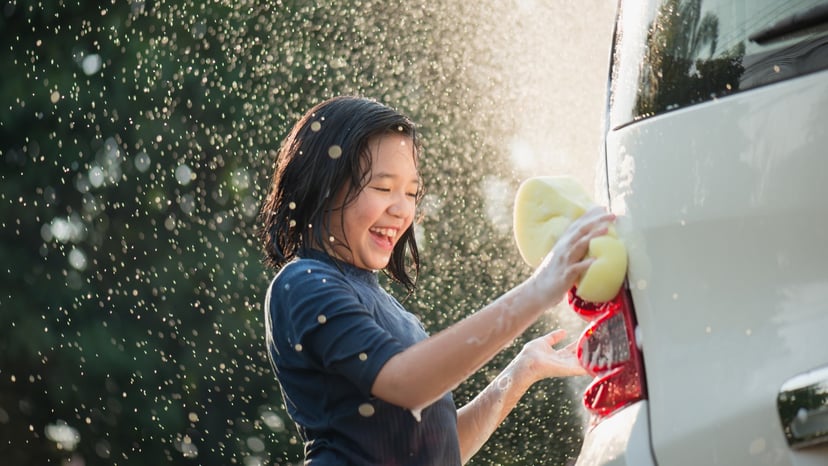 Wash