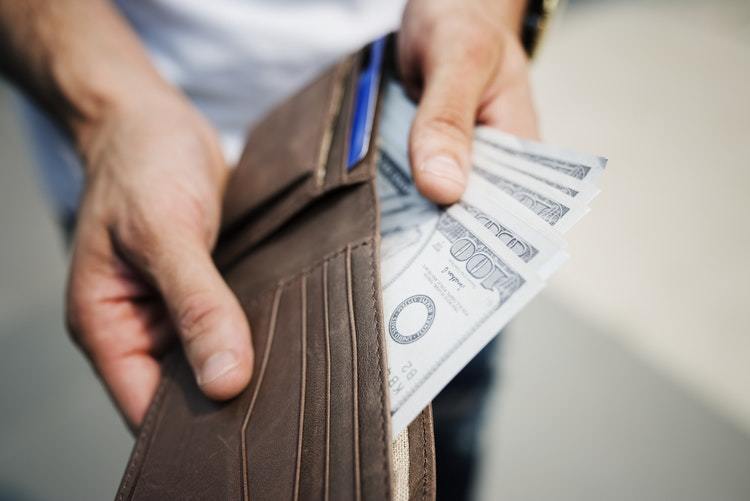 Motorist Singsaver Perennial Cost
