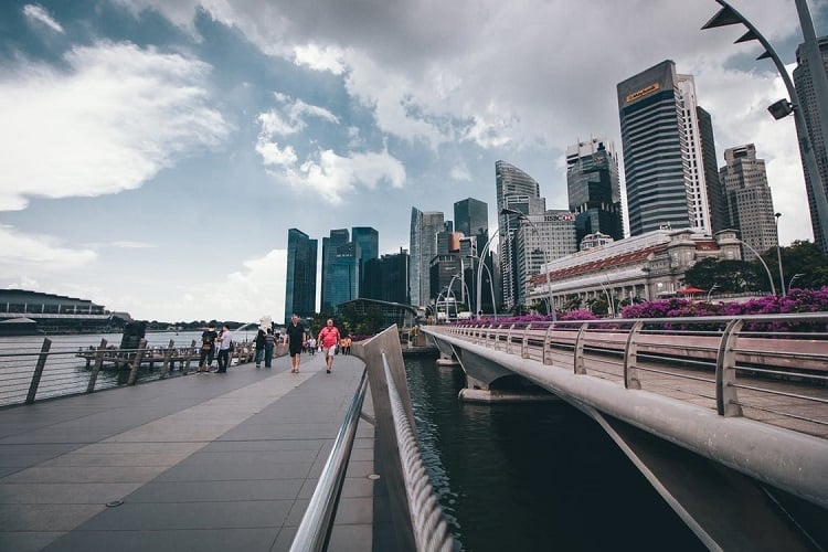 Motorist Singsaver Car Lite Singapore