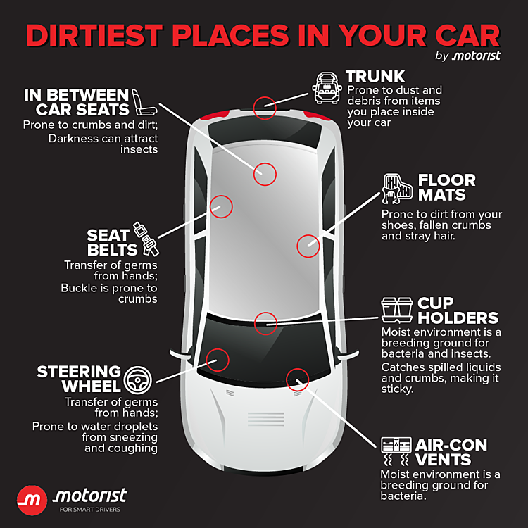 Motorist 7 Dirtiest Places In The Car Infographic