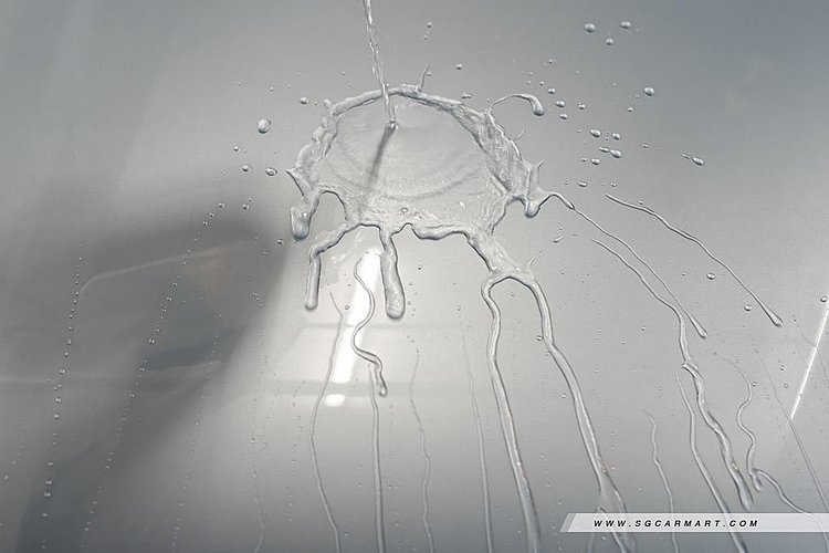 Paint Protection Film 