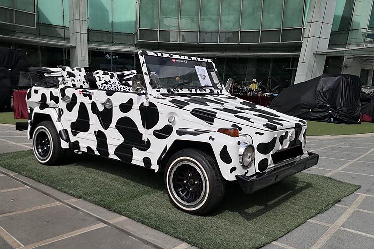 Cow