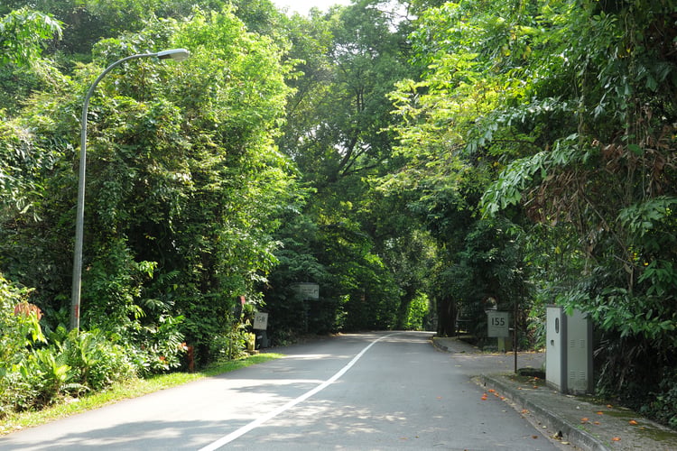 7 Month Haunted Roads In Singapore 03