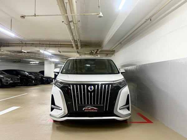 BYD DENZA D9 ELITE